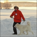 100212_lone_hvalp_9623